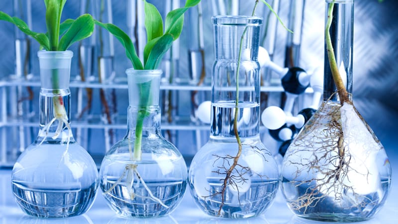 Explained: AI Helps in Biochemistry and Health