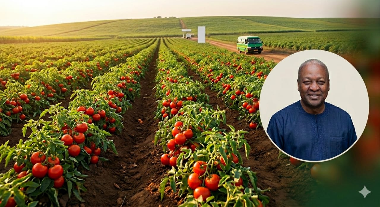 Mahama Announces 60-Hectare Irrigation Project to Drive Year-Round Tomato Production