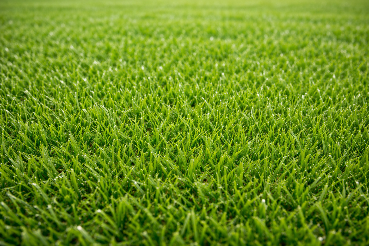 Artificial Turf Fields