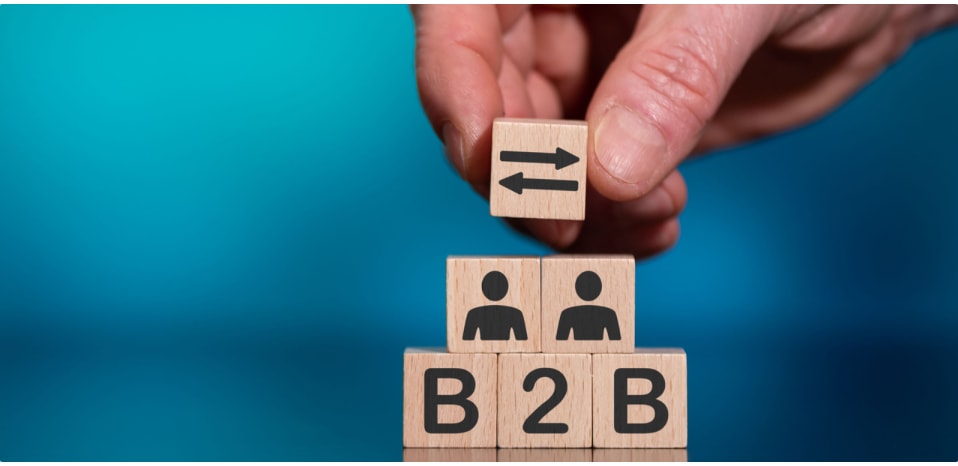 B2B lead generation stratagies using programmatic Ads