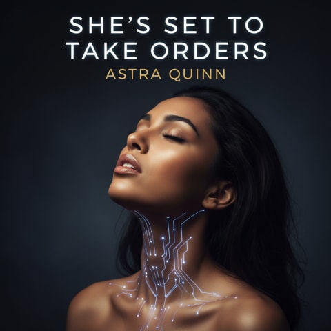 She’s Set to Take Orders: An AI Submission & Control Romance