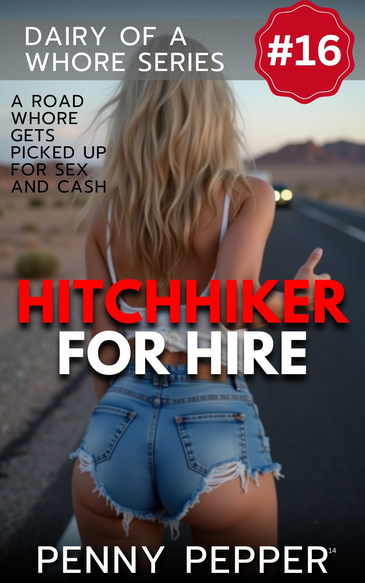 Hitchhiker for Hire cover