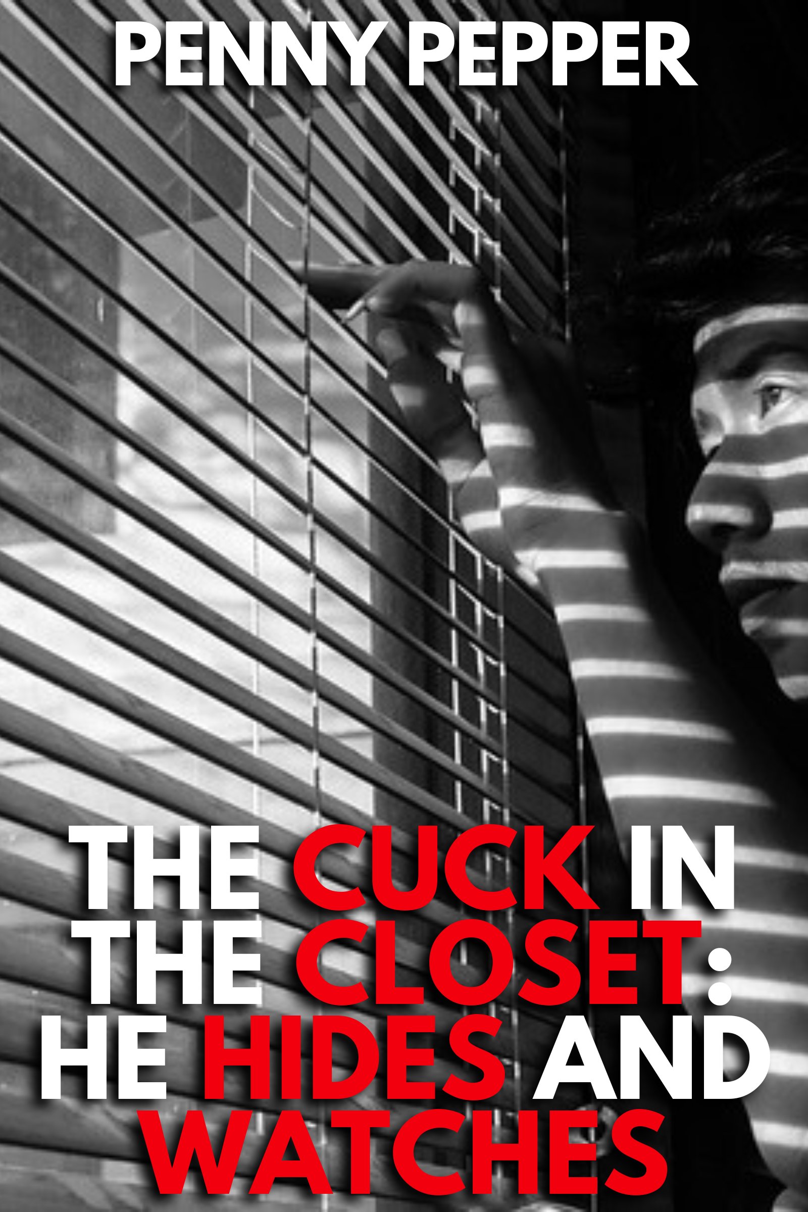 The Cuck in the Closet cover