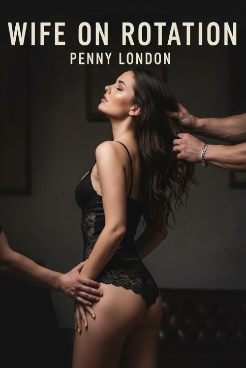 Wife on Rotation book cover