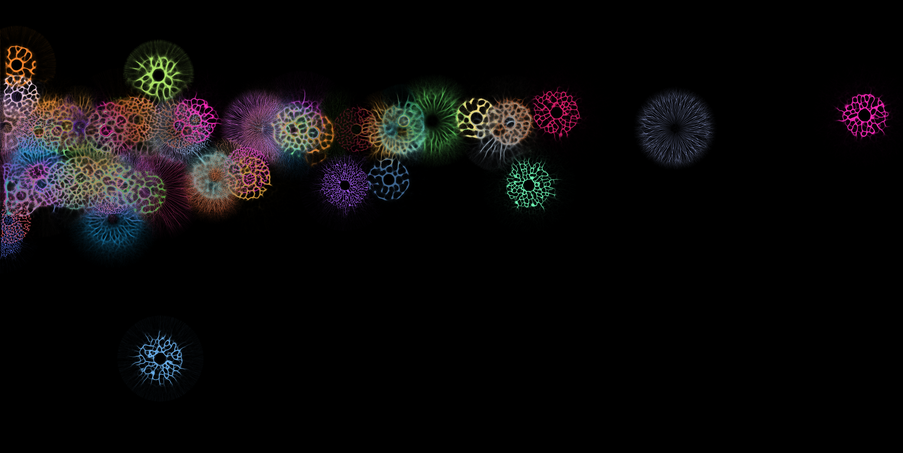 Plate 04: Error Visualization
