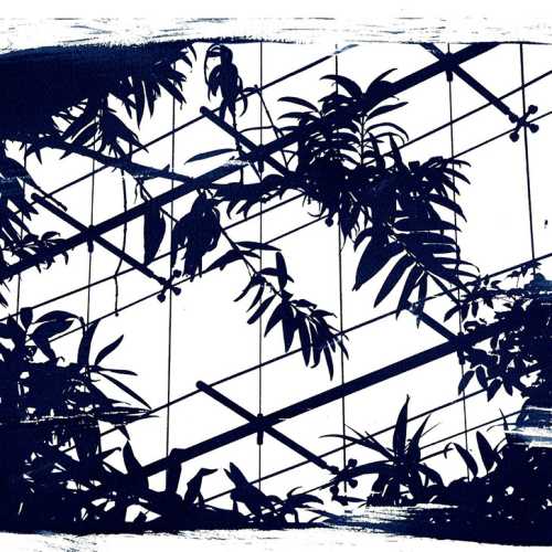 tirage cyanotype canson 1