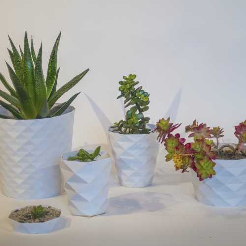 Parametric flower pots 1