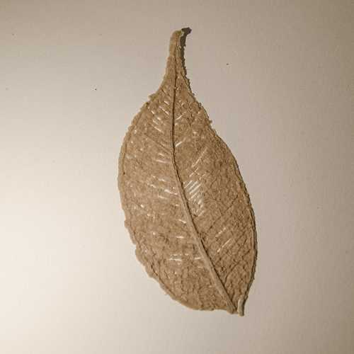 feuille imprimée en 3D 1