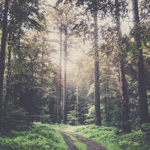 Tour des monts d'arrée 1
