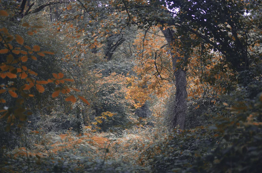 photo de nature et d'escalade 5