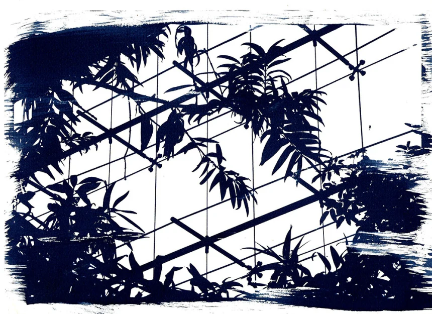 tirage cyanotype canson 1