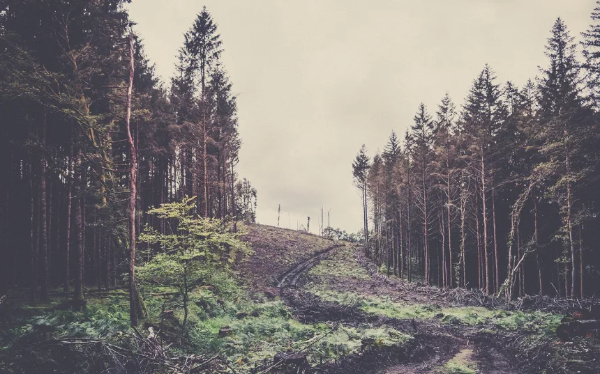 Tour des monts d'arrée 3