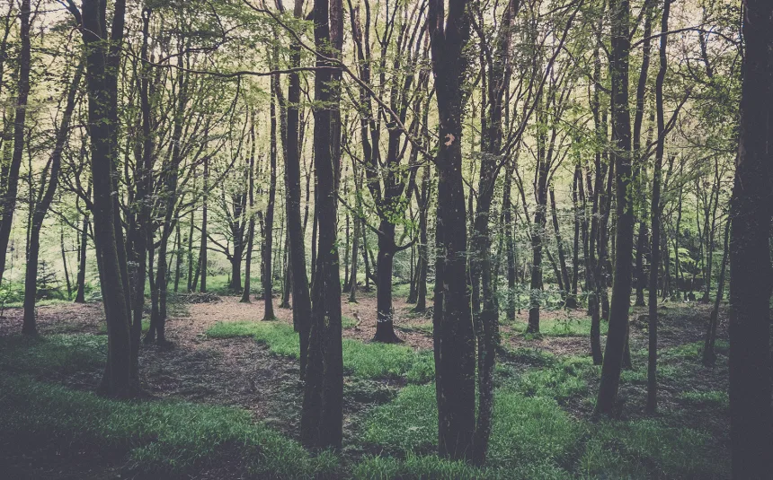 Tour des monts d'arrée 7