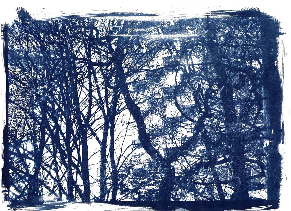 tirage cyanotype canson
