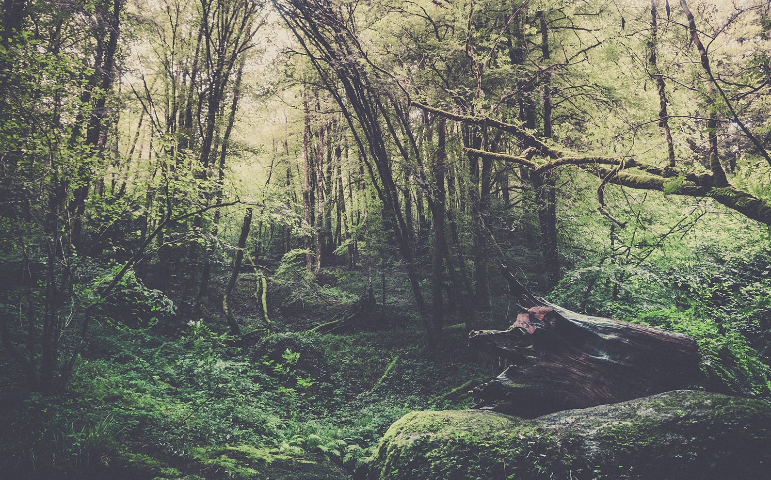Tour des monts d'arrée