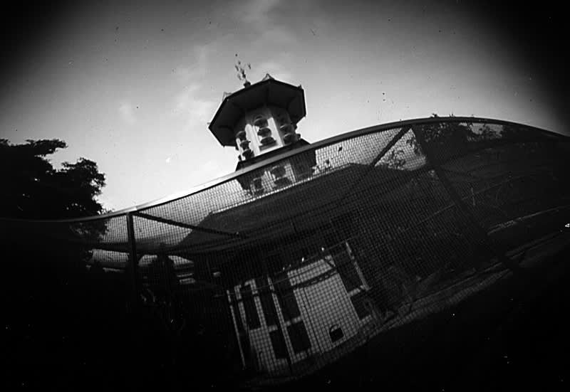 photo au sténopé dans une canette