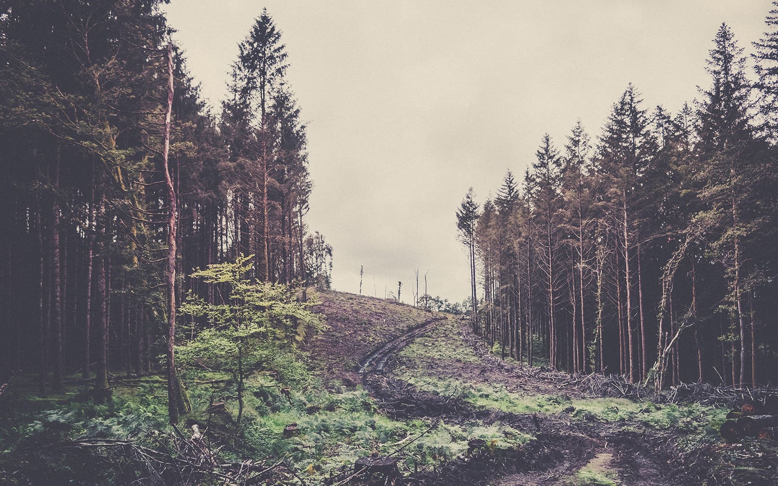 Tour des monts d'arrée