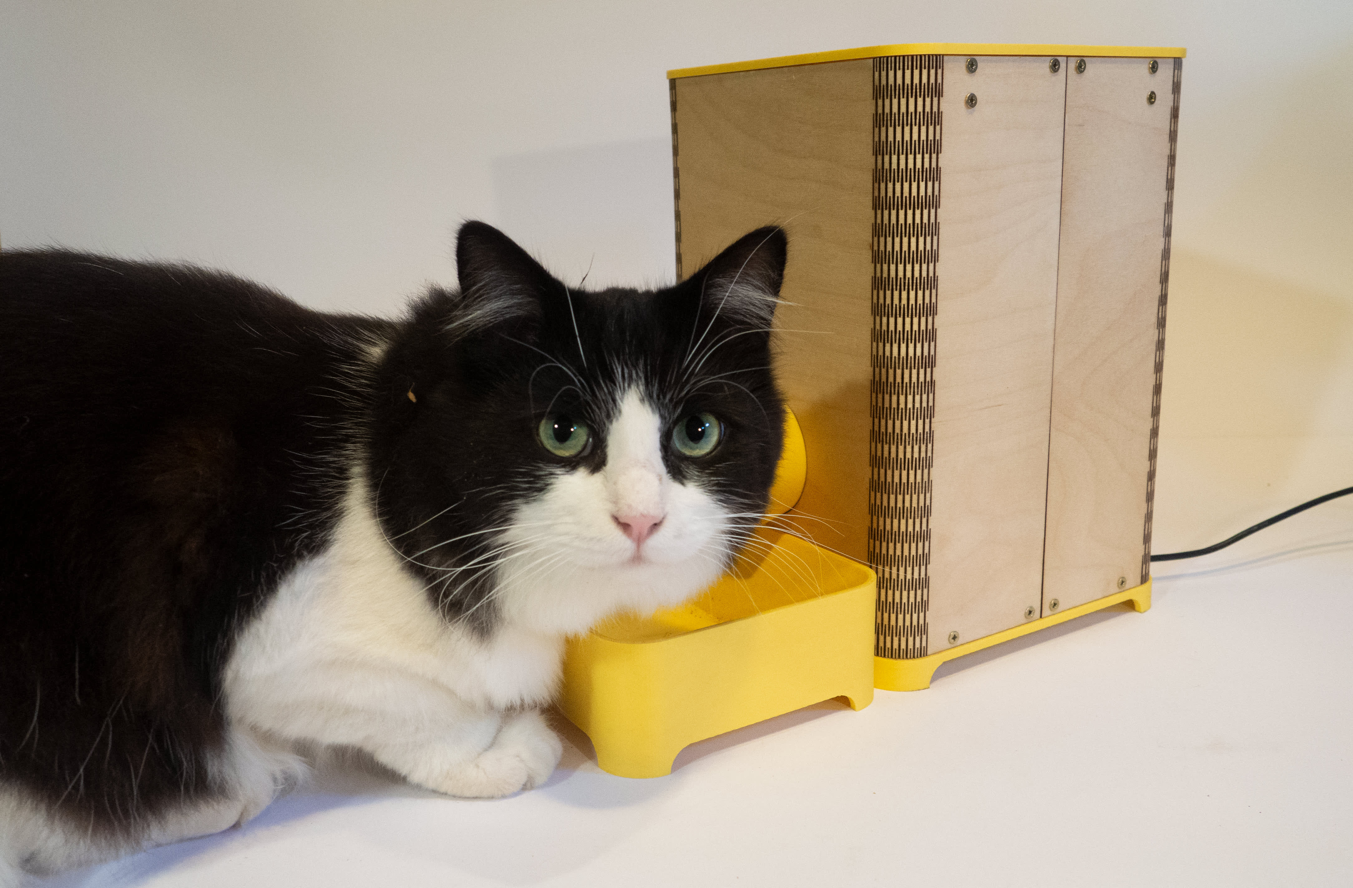 Cat feeder distributeur automatique de croquettes