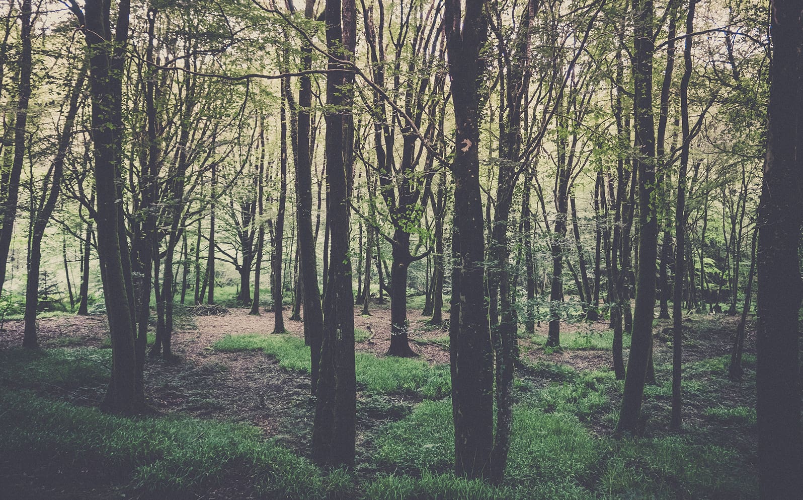 Tour des monts d'arrée