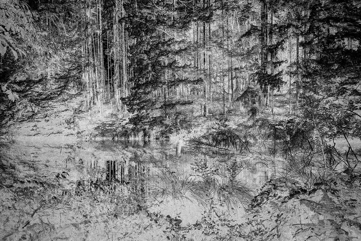 Photos du projet Natura Obscura