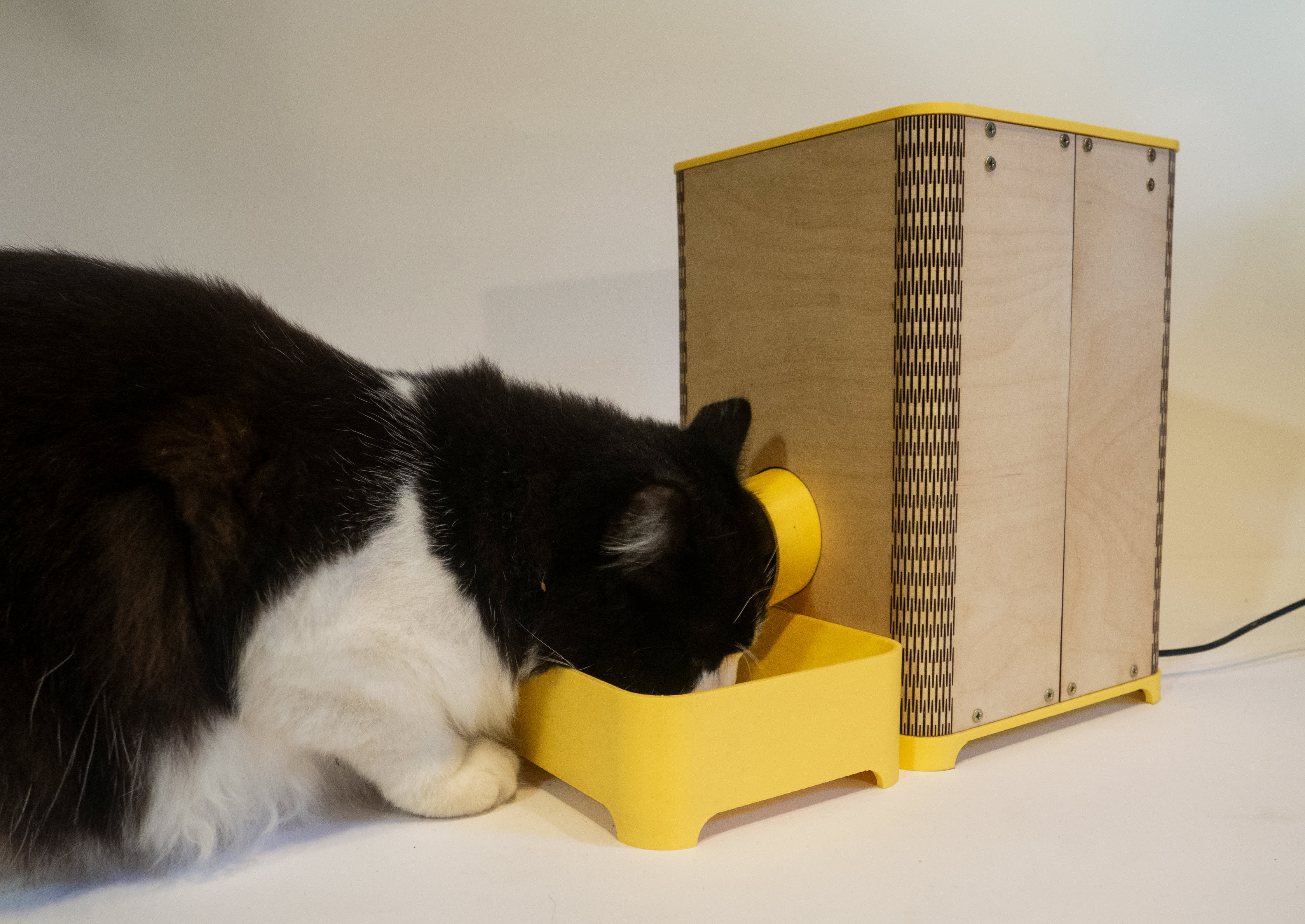 Cat feeder distributeur automatique de croquettes