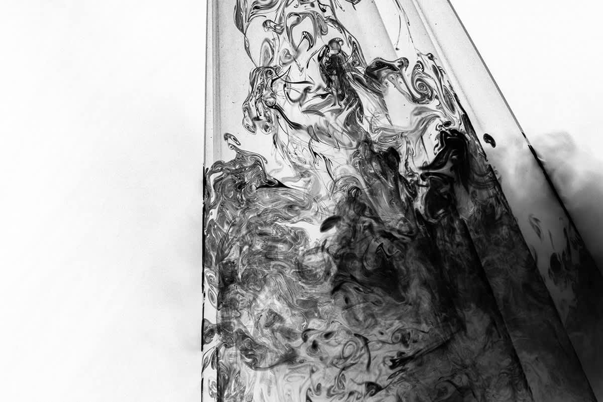 Photos du projet Natura Obscura