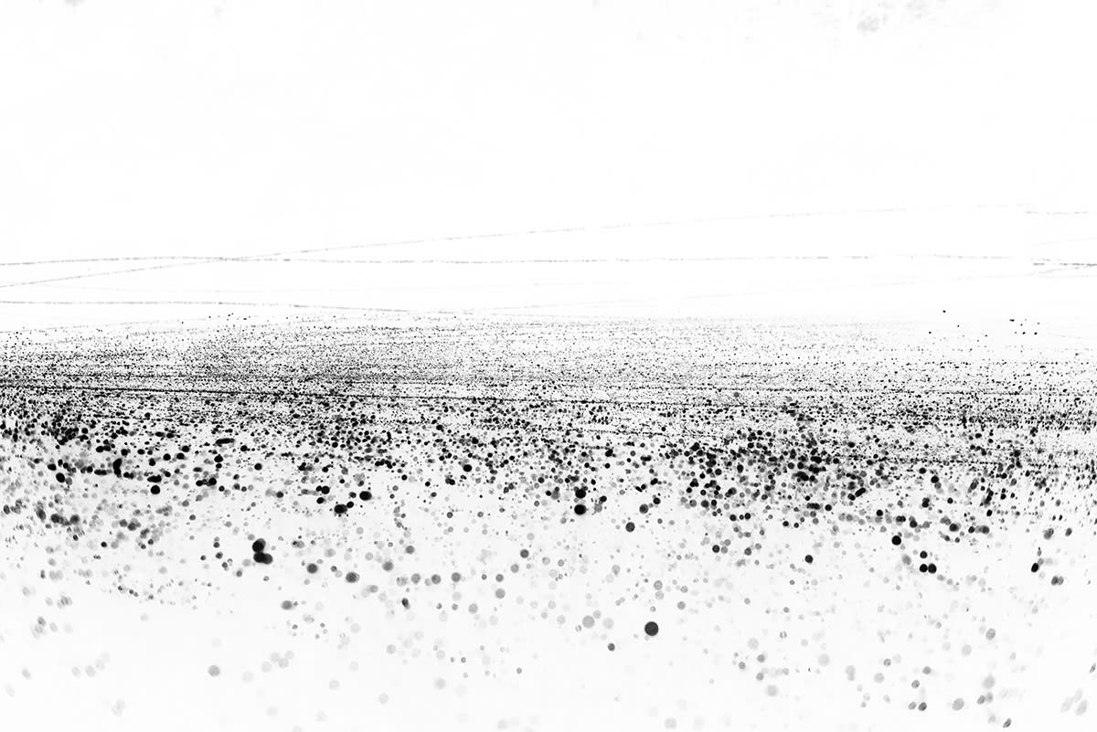 Photos du projet Natura Obscura