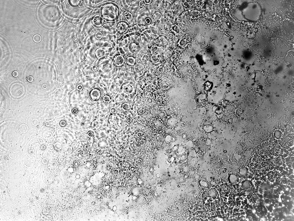 photogramme de l'eau