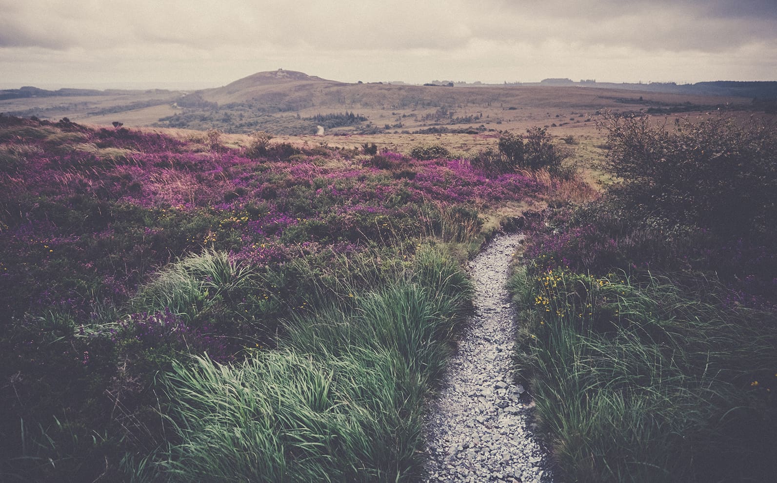 Tour des monts d'arrée