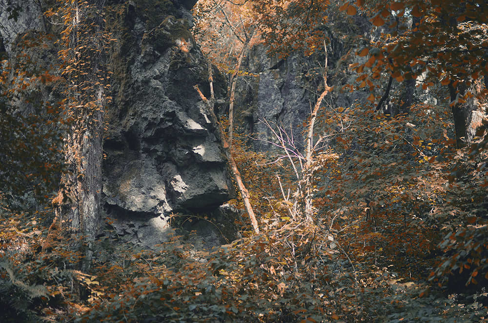 photo de nature et d'escalade