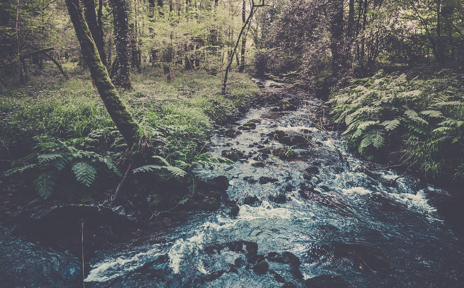 Tour des monts d'arrée