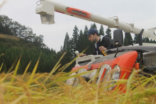 Niigata Farmstay Rural Rice Harvesting Farming Experience Minshuku Takane Murakami