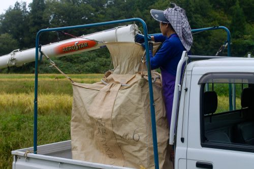 Niigata Farmstay Rural Rice Harvesting Farming Experience Minshuku Takane Murakami
