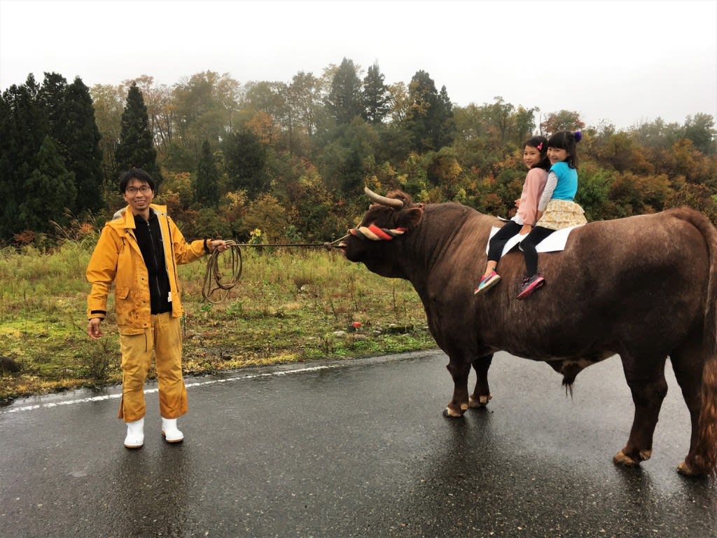 Tsunotsuki: el impresionante ‘toreo’ de Yamakoshi