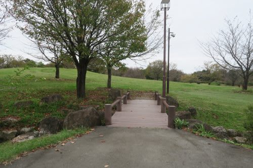 Kodai Hasu no Sato lotus pond park in Gyoda City, Saitama Prefecture, Japan.