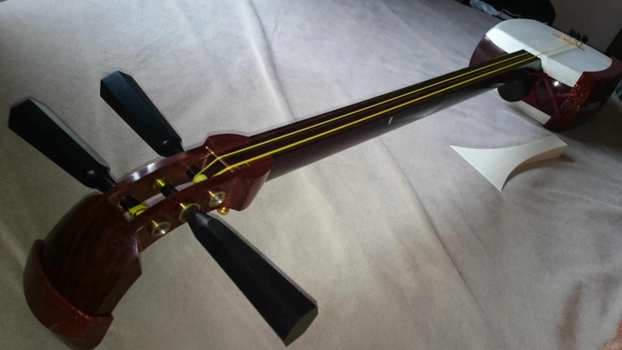 Japanese String Instrument Like Violin