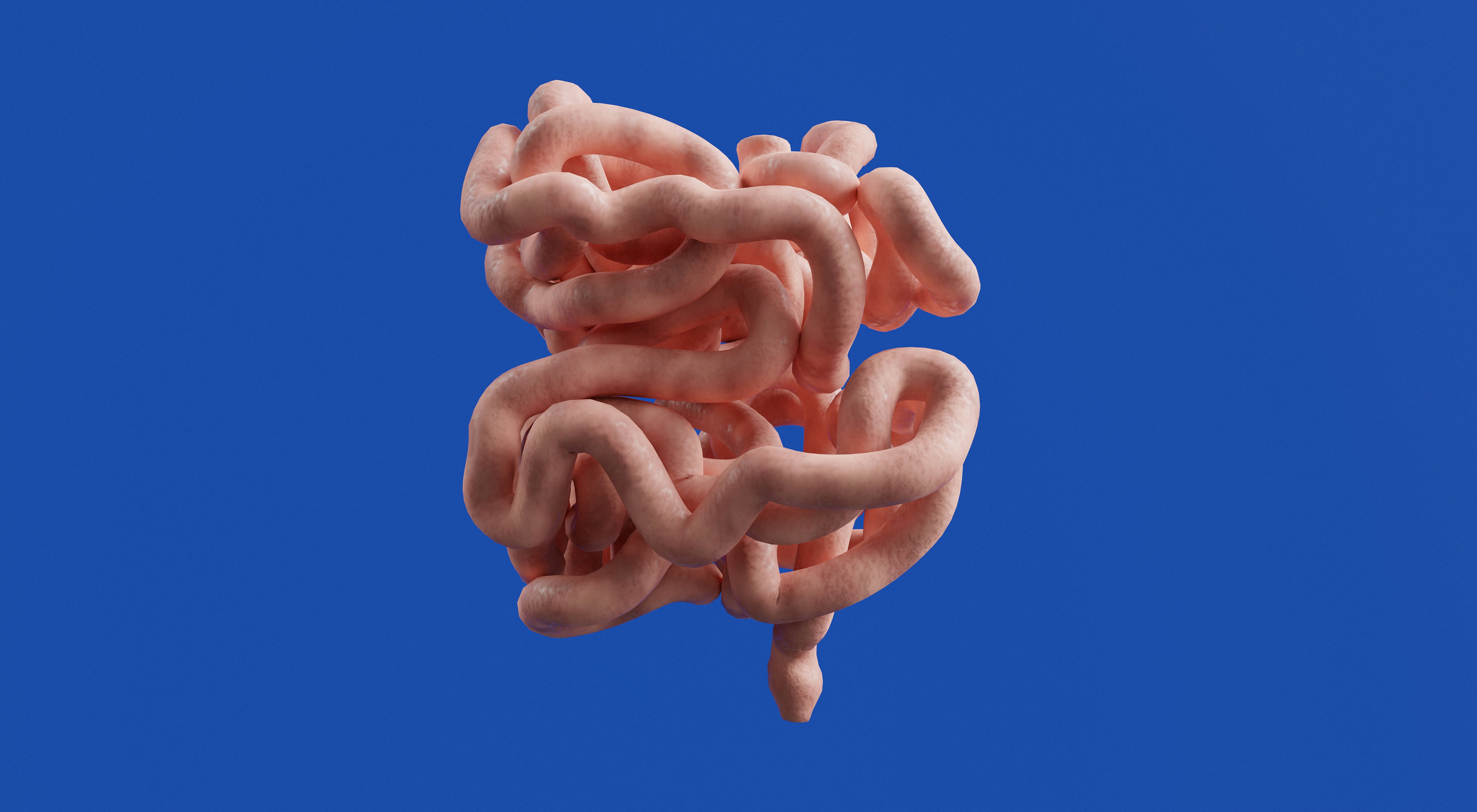 Ilustrasi hubungan antara usus dan otak, menunjukkan koneksi microbiome dengan kesehatan mental.