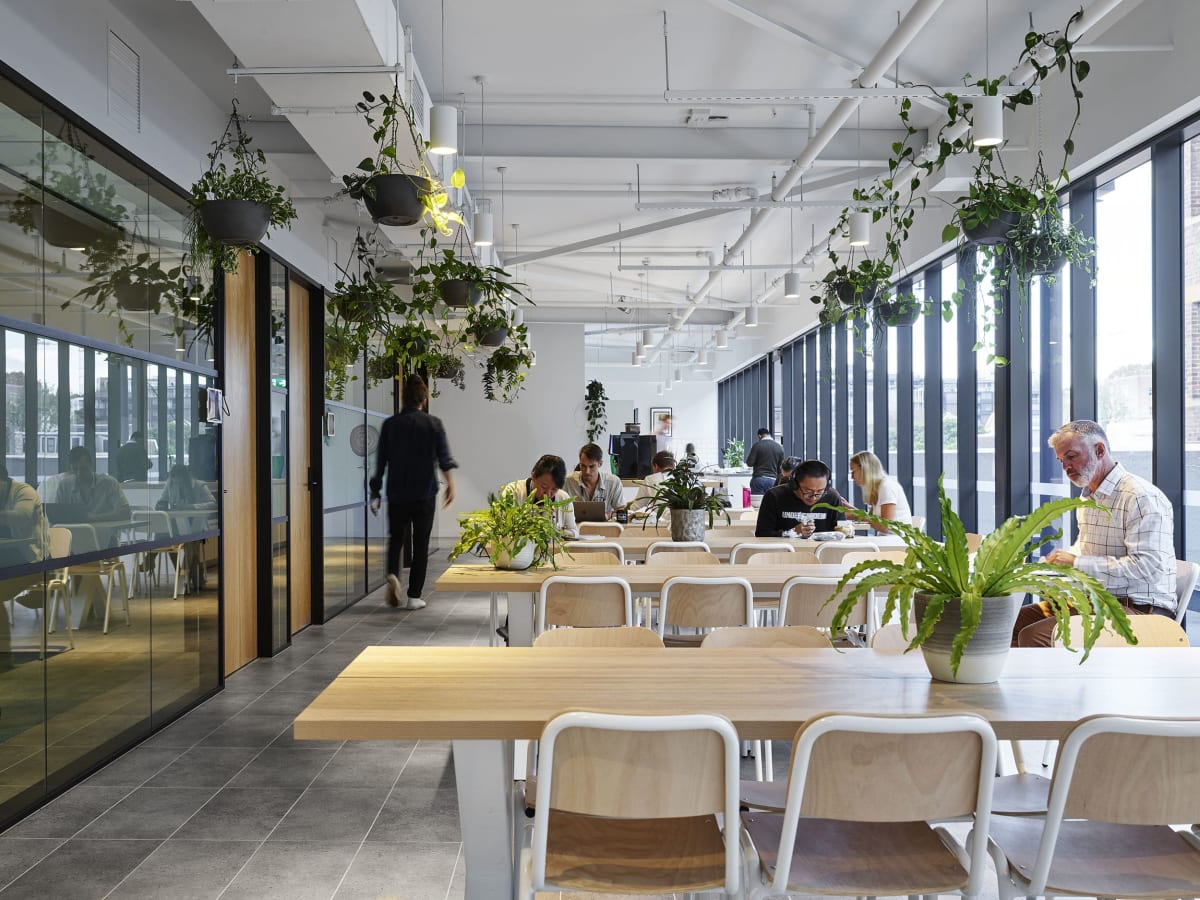 Bloomingdale's Coworking Coworking Space in sailashree vihar