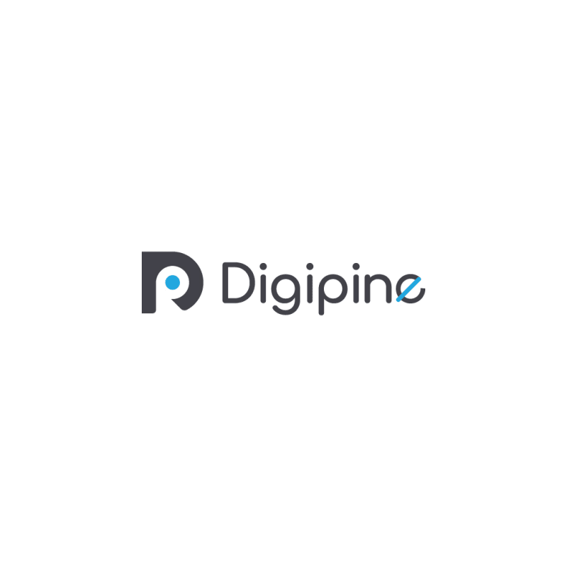 Digipine Infotech LLP