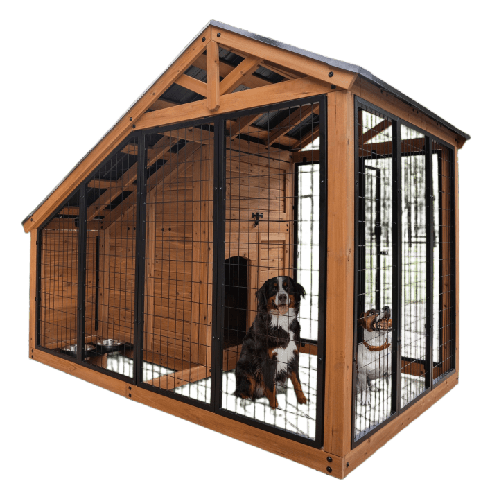 Animal Enclosure