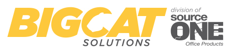 Big Cat Solutions logo