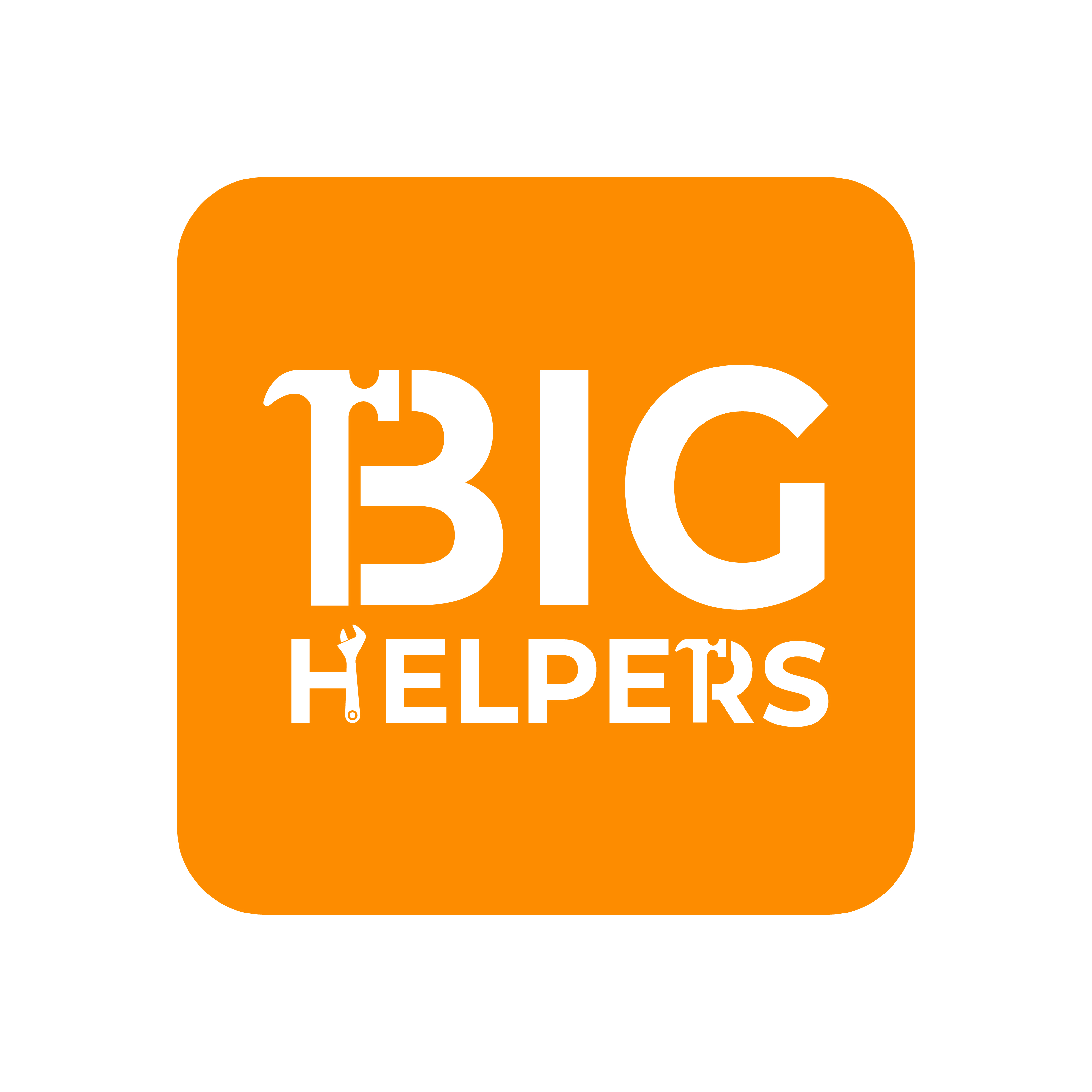 Big Helpers Services, Inc logo