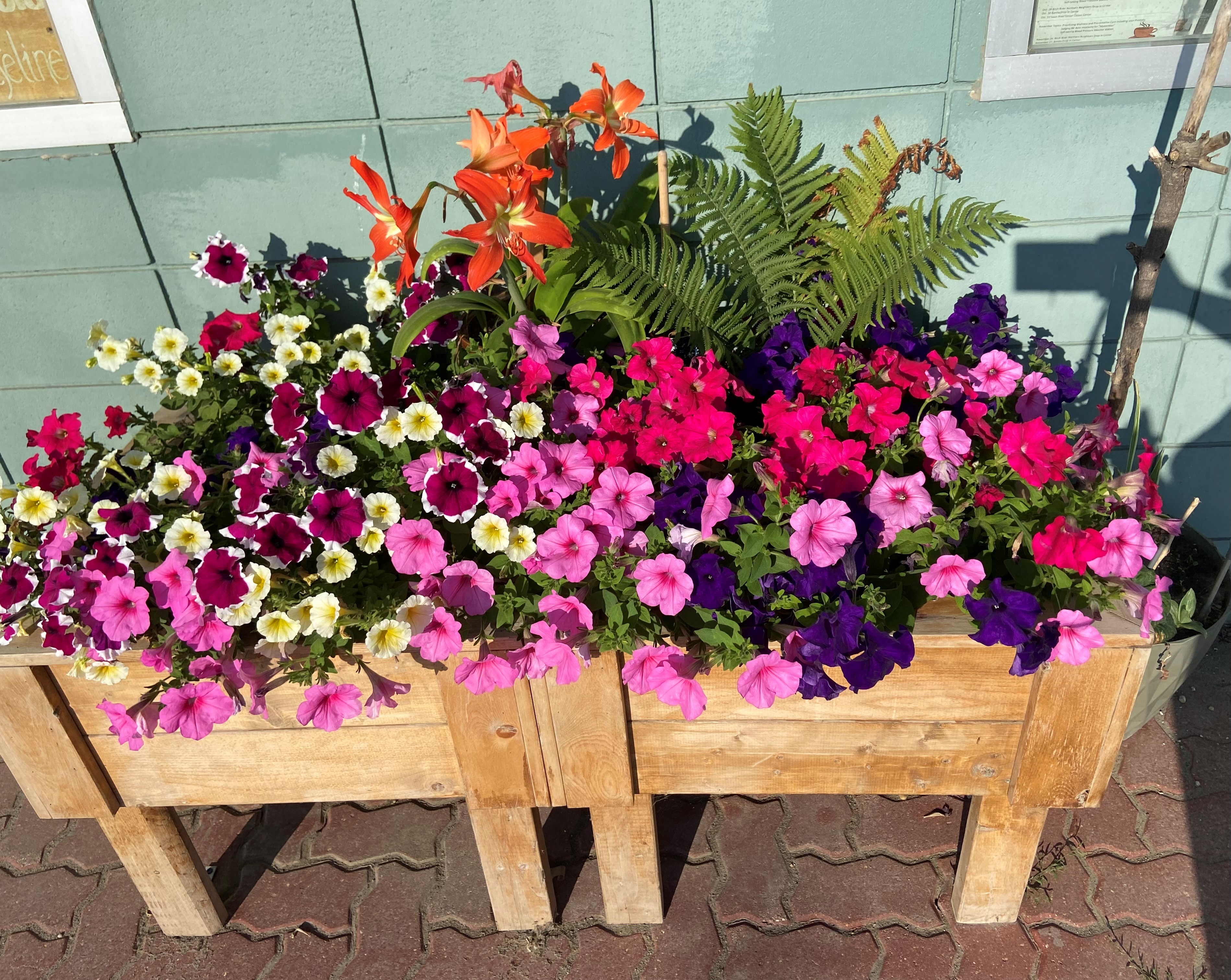 SR & District Community Resource Council Inc