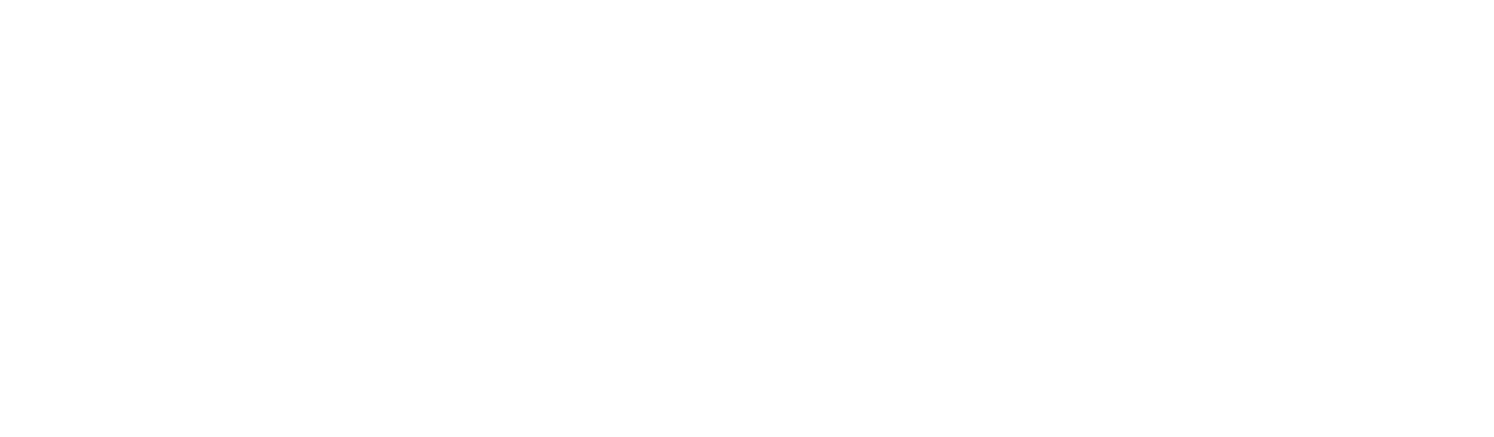 VR Industrial Logo Blanco