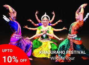 Khajuraho Festival with Wildlife