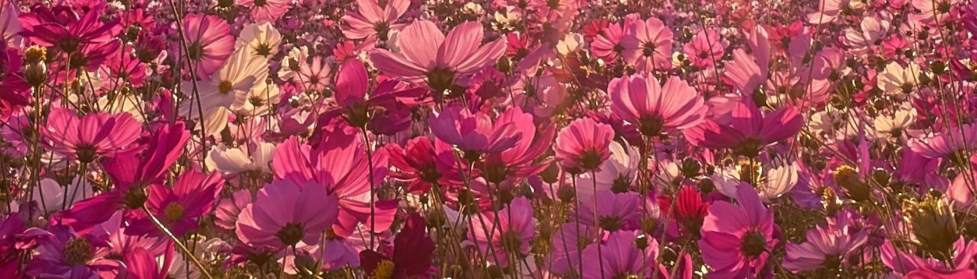 10 curiosidades sorprendentes sobre el orgasmo
