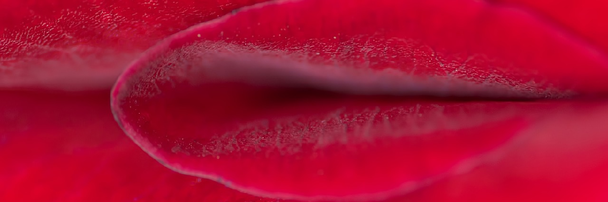 Multiorgasmo: Qué es y Cómo Conseguirlo