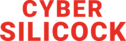 Cyber Silicock