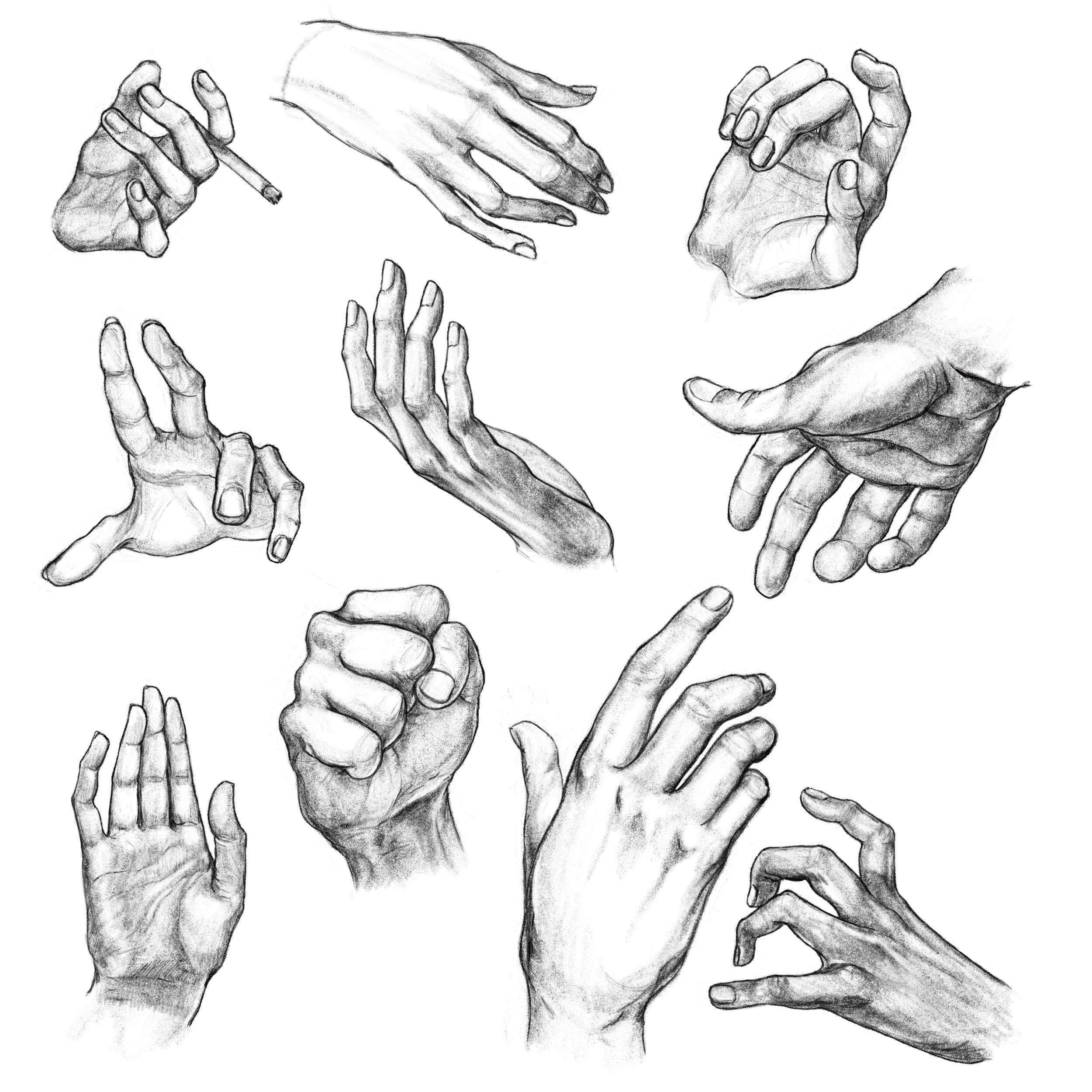 Hand Studies