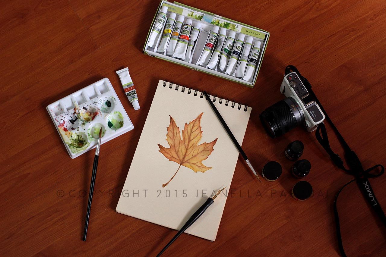 Maple Leaf Painting